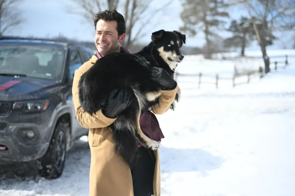 Jonathan Stoddard Wife Biography, Career, Net Worth, and Personal Life (2026 Guide)