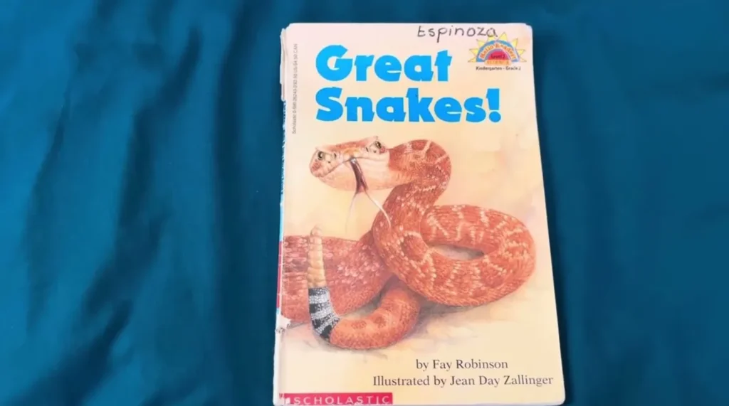 Life Cycle of a Snake