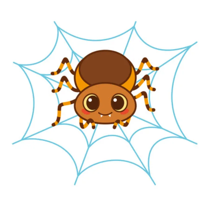 Life Cycle of Spider