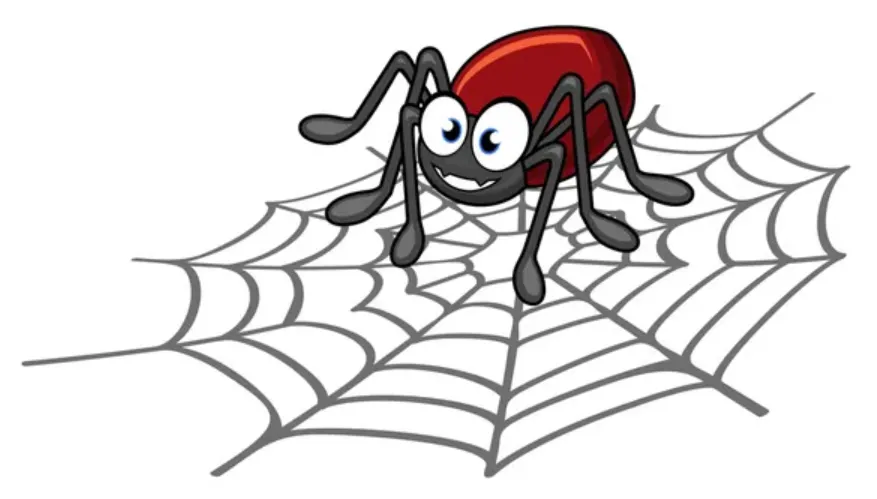 Life Cycle of Spider