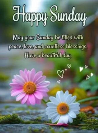 blessed sunday