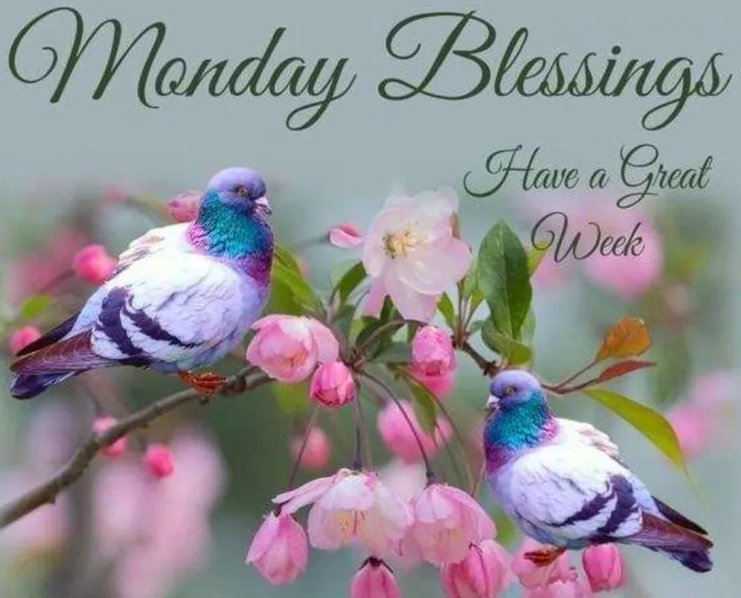 good morning monday blessings