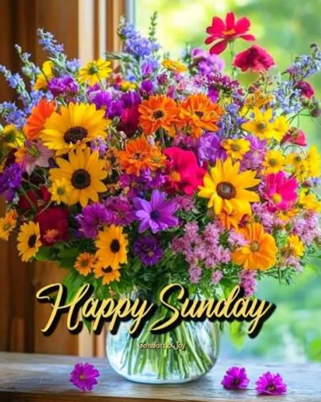 good morning sunday blessings
