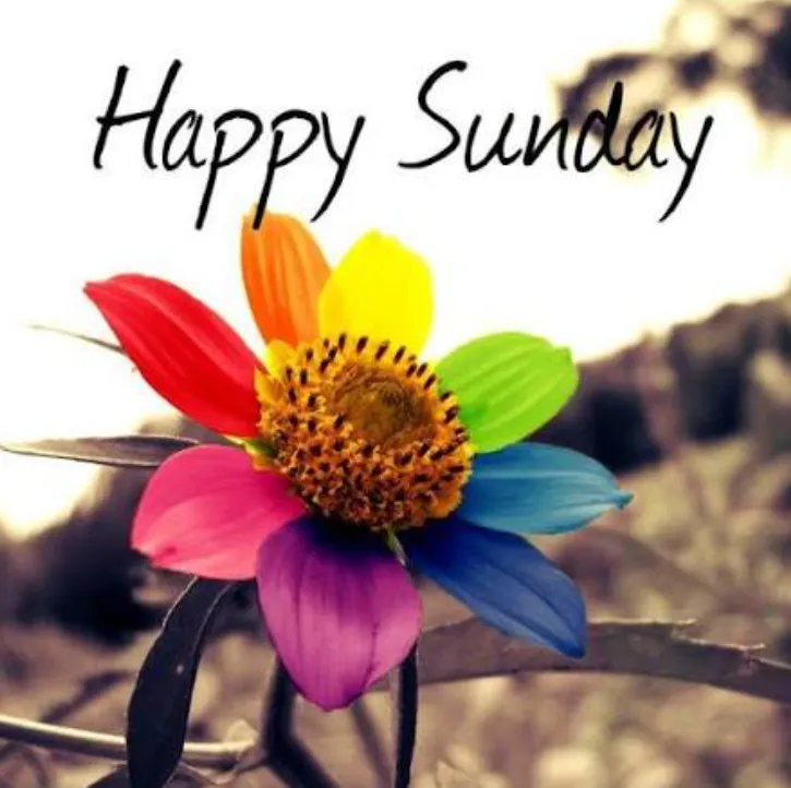 good morning sunday blessings