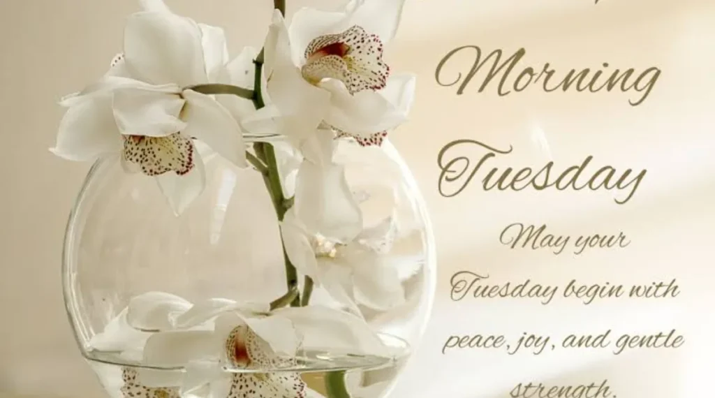 good morning tuesday blessings