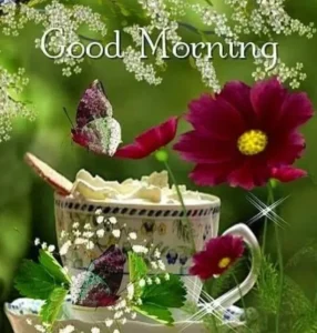133+ Good Morning Wednesday Blessings to Inspire Peace, Strength & Positivity
