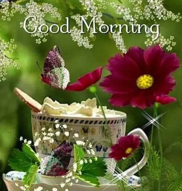 good morning wednesday blessings