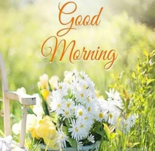 good morning wednesday blessings