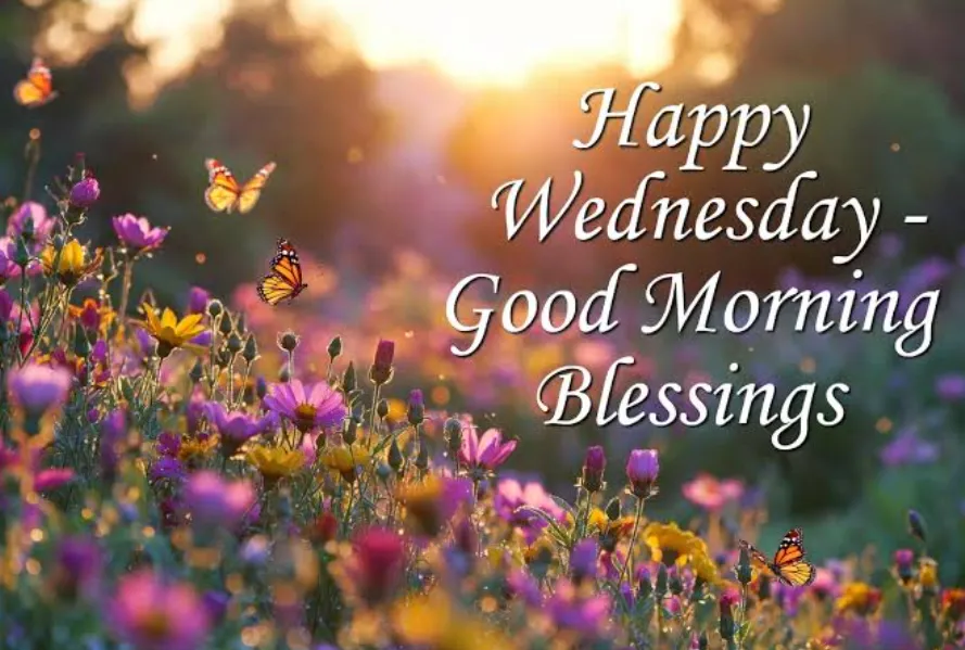 good morning wednesday blessings