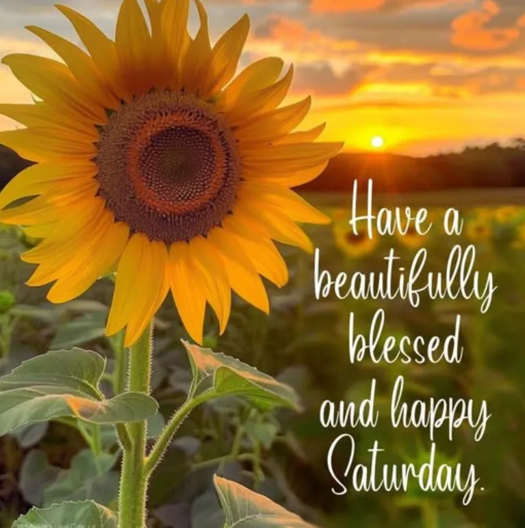 happy saturday blessings images